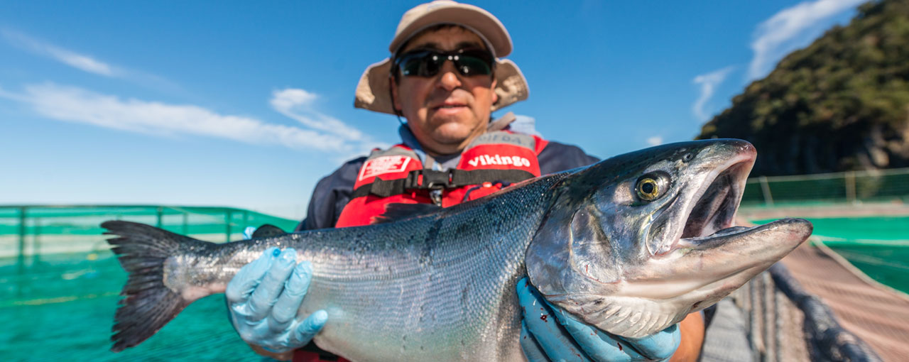 Nourishing our world - man in hat holding open-mouthed fish with blue sky and aqua water in the background